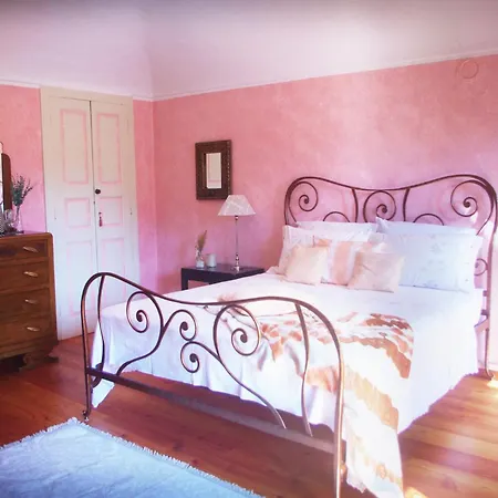 Quick - Magnolia Viverone